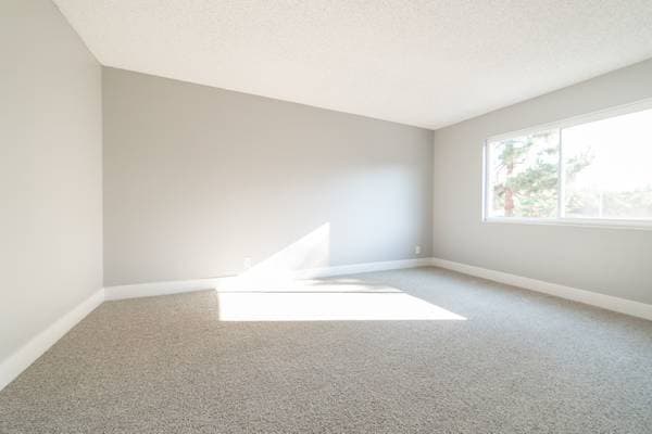 1BR/1BA Apartment on Harder Road · Hayward photo 5