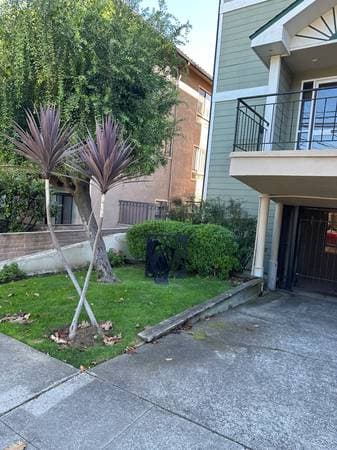 1405 Oakgrove Avenue 207 photo 2