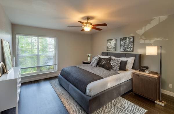 1BR/1BA Apartment on Lexington St · Fremont photo 2