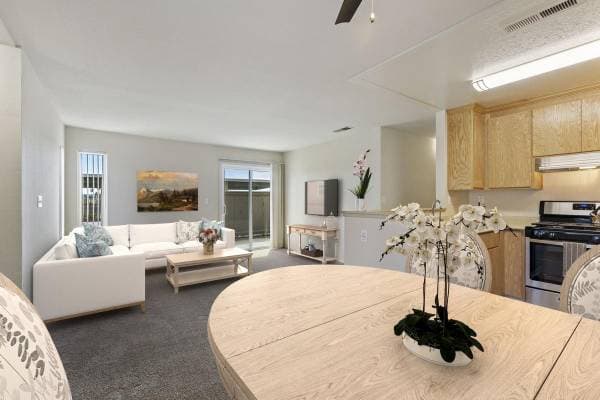 2BR/2BA Apartment · Tracy photo 1