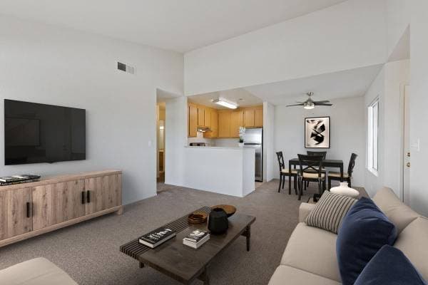 1BR/1BA Apartment · Tracy photo 4