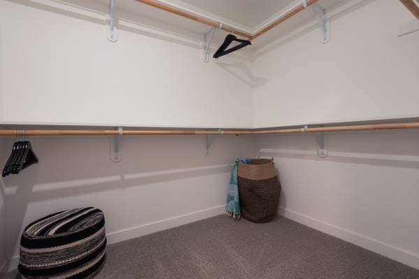 1BR/1BA Apartment on Diablo Road · Danville photo 1
