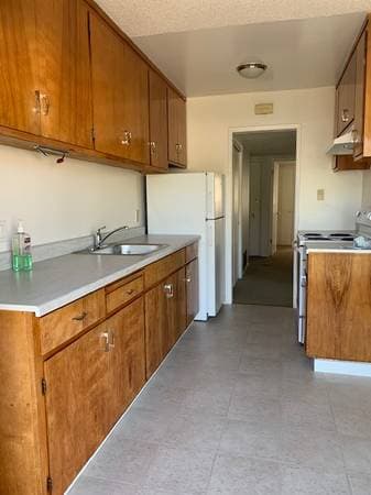 2BR/1BA Apartment · Berkeley photo 2