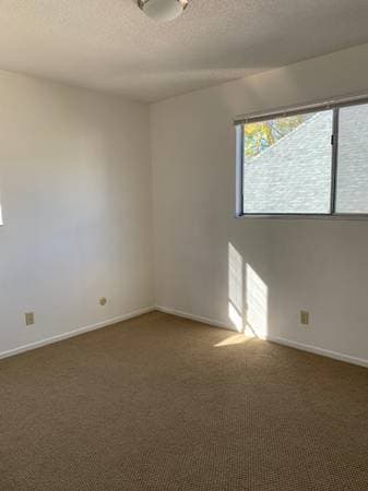 2BR/1BA Apartment · Berkeley photo 3