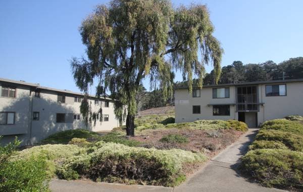 2BR/1BA Apartment · San Francisco photo 2