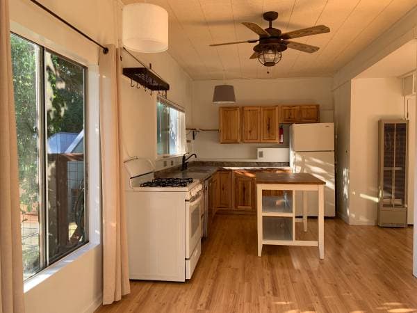 1BR/1BA In Law Adu · Sebastopol photo 2