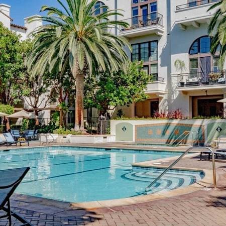 1BR/1BA Apartment on Ryland St. · San Jose photo 4