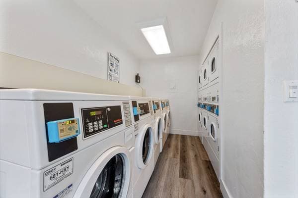 1BR/1BA Apartment on Hollis Avenue · Campbell photo 2