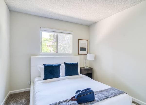 0BR/1BA Apartment on Westcliffe Lane · Walnut Creek photo 4