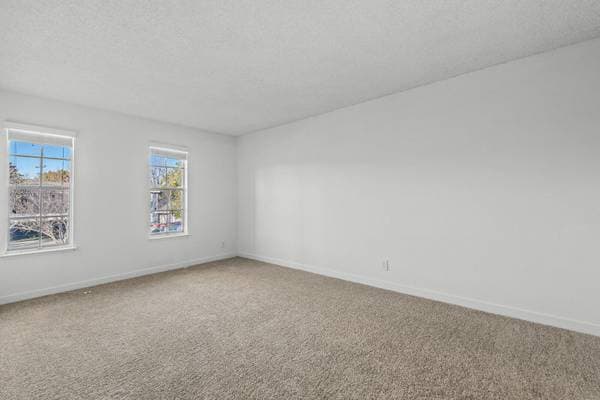 2BR/1BA Apartment on Hollis Avenue · Campbell photo 2