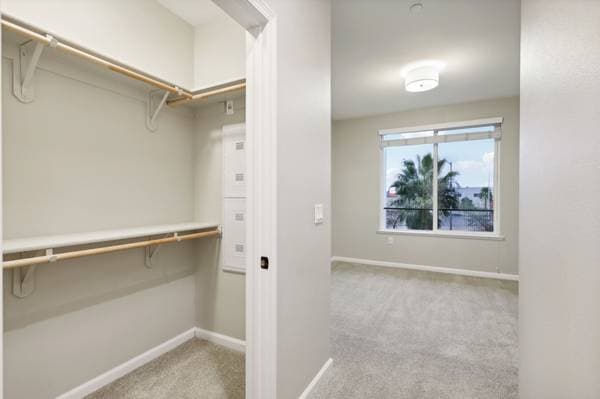 1BR/1BA Apartment on Baywood Drive · Petaluma photo 4