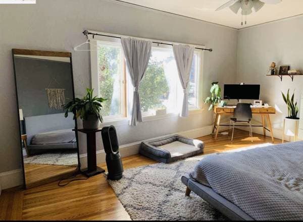 2BR/1BA Apartment · Oakland photo 4