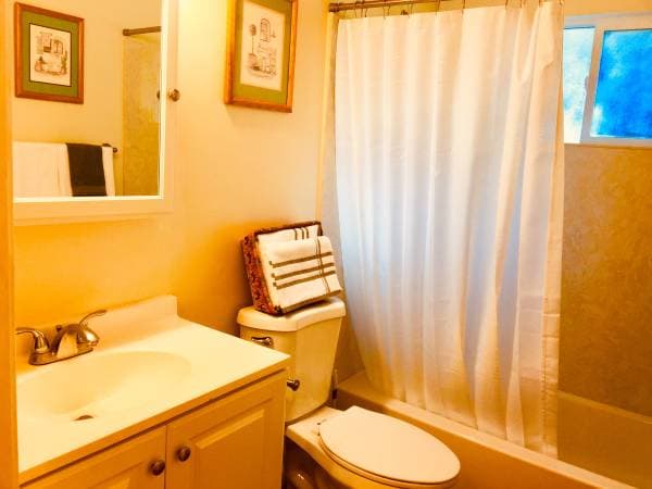 1BR/1BA Other · Felton photo 4