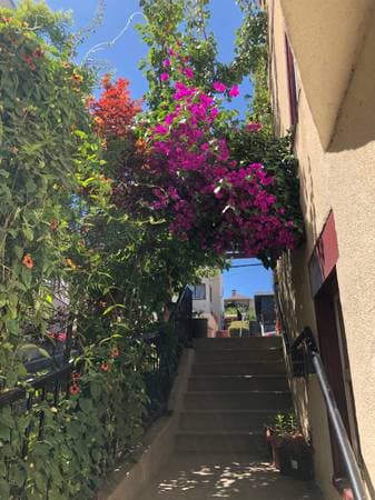 0BR/1BA Apartment on A Athol Ave · Oakland photo 5