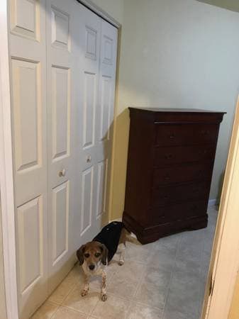 0BR/1BA Other · Concord photo 4