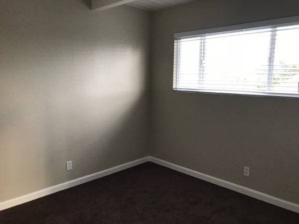 3BR/1BA Apartment · Oakland photo 5