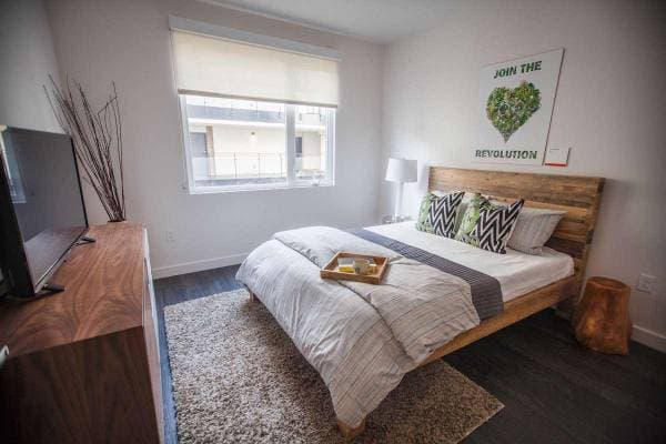 1BR/1BA Apartment on San Pablo Ave · Berkeley photo 3