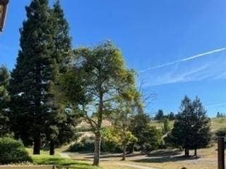 1BR/1BA Apartment · San Ramon photo 2