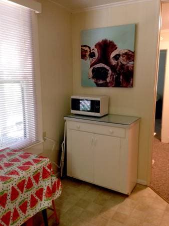 1BR/1BA Apartment · Mount Hermon photo 5