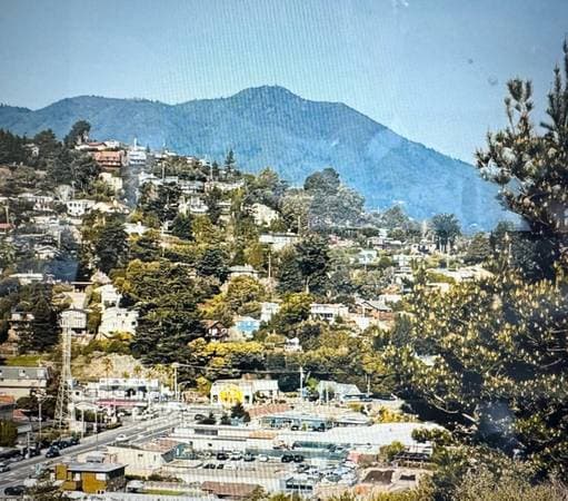 Apartments on Shoreline · Mill Valley photo 2