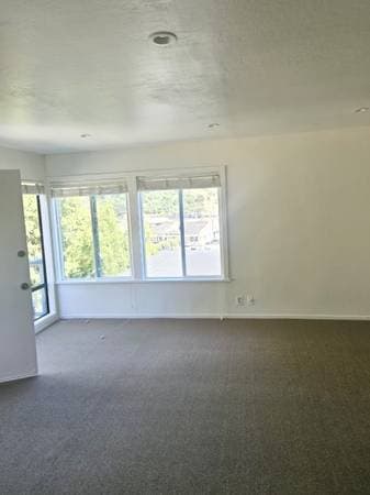 Apartments on Shoreline · Mill Valley photo 4