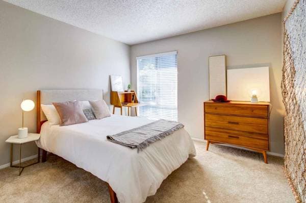 2BR/1BA Apartment on Lakeville Cir · Petaluma photo 4