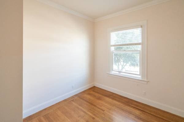 3BR/2BA Flat · San Francisco photo 4