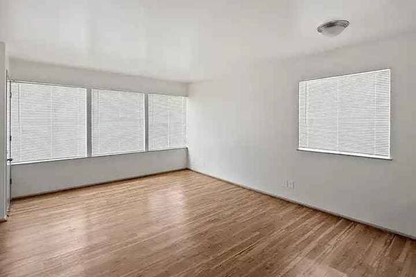 3600 Dimond photo 4