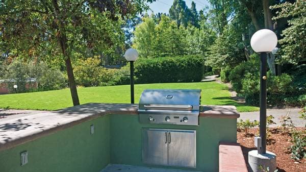 2BR/1BA Apartment on Casa Buena Dr · Corte Madera photo 5