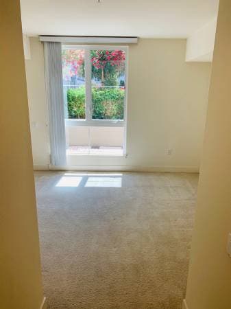 1BR/1BA Apartment · San Jose photo 1
