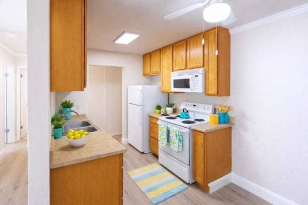 1BR/1BA Apartment on Bancroft Ave · San Leandro photo 5
