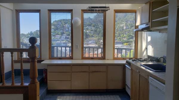 1BR/1BA Apartment · Sausalito photo 4