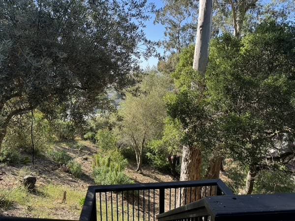 Apartments on Sea View Avenue · San Rafael photo 3
