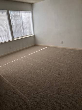 1BR/1BA Apartment · Berkeley photo 5