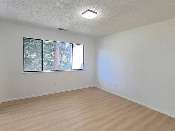 34631 Musk Terrace, Fremont, CA 94555 photo 3