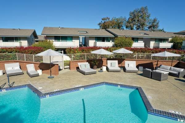 2BR/2BA Apartment on Foster City Boulevard · San Mateo photo 5