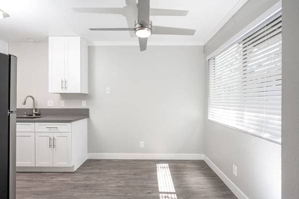 Lafayette Oaks photo 5