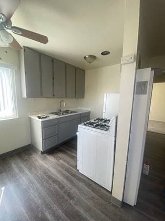 Tiki Apartments photo 4