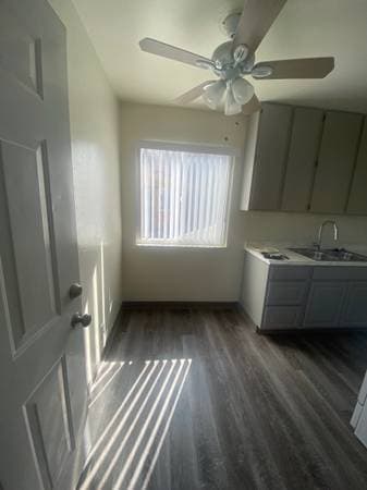 Tiki Apartments photo 5