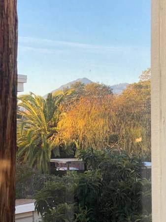 2BR/1BA Apartment · San Rafael photo 1
