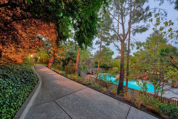 1BR/1BA Apartment on Casa Buena Dr · Corte Madera photo 1
