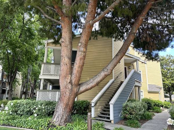 2BR/2BA Apartment · San Jose photo 4