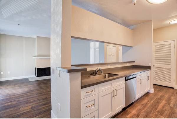 2BR/2BA Apartment · San Jose photo 5