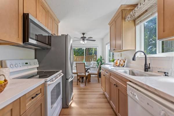 1BR/1BA Condo · Los Gatos photo 4