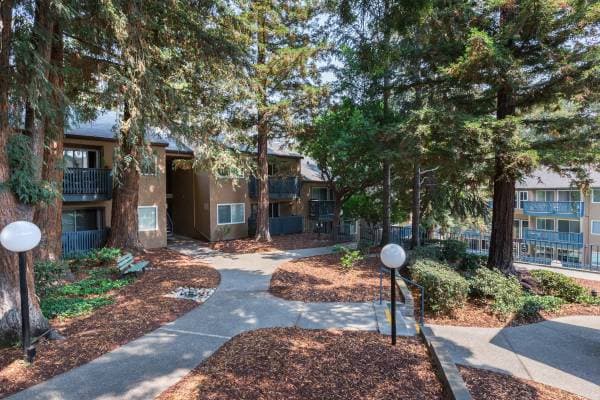 Apartments on Center Street · Hayward photo 5