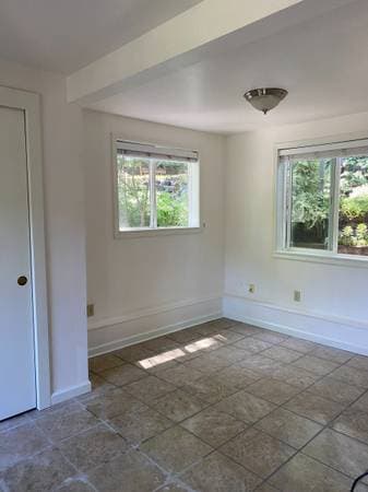 0BR/1BA In Law Adu · Forestville photo 4