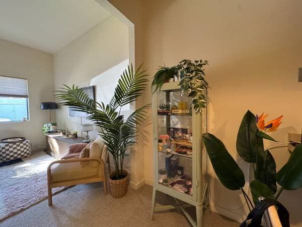 1BR/1BA Apartment on Manchester St. · San Francisco photo 2