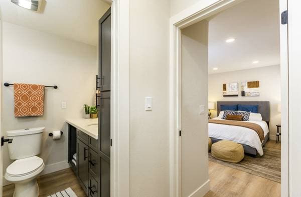 2BR/2BA Apartment on N Main Street · Walnut Creek photo 4