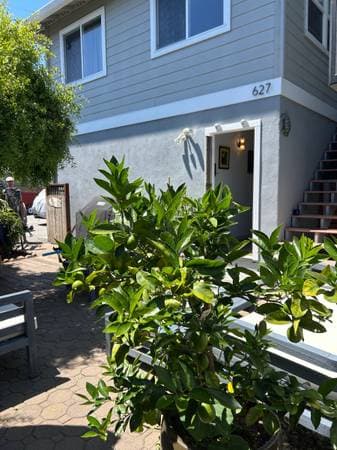 0BR/1BA Apartment · Santa Cruz photo 2
