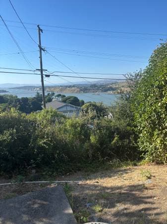 1BR/1BA In Law Adu · Crockett photo 5